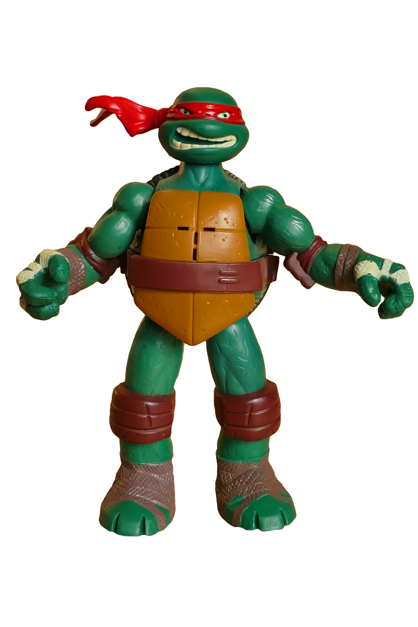 ninja turtle