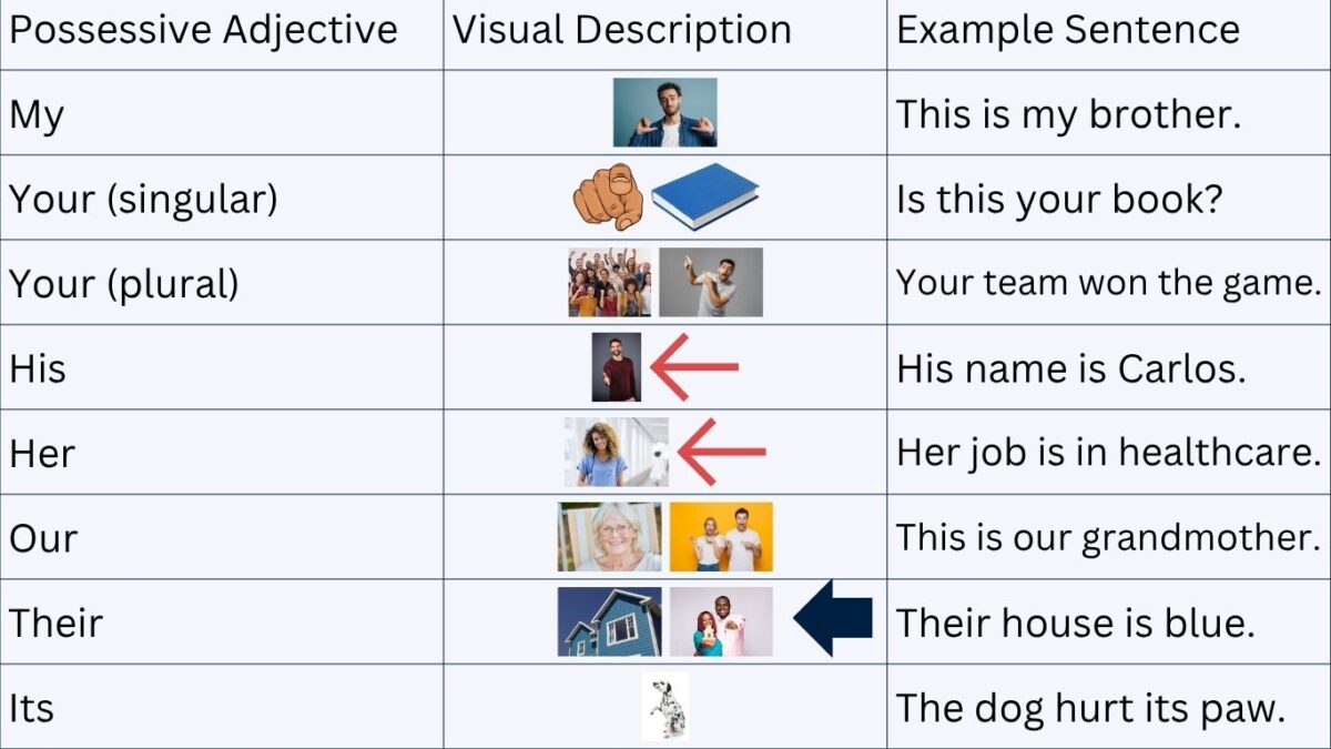 Possessive possessive adjectives and family members