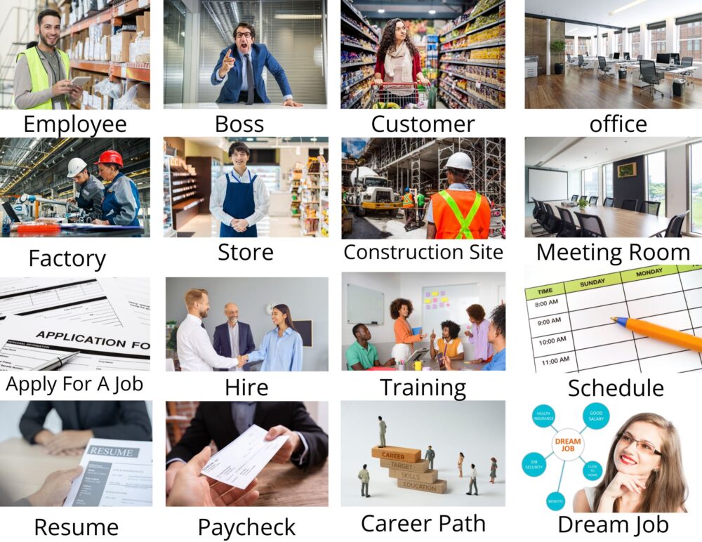 Picture dictionary ESL Speaking with Confidence Present Simple of To Have